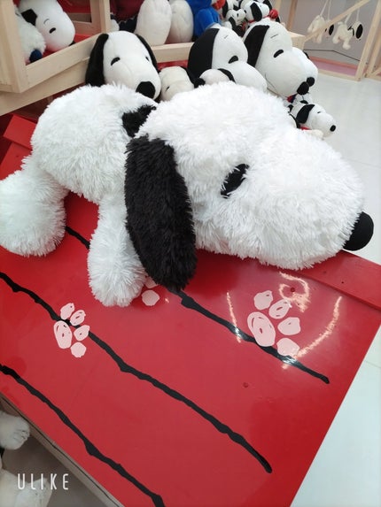 を使ったクチコミ(1枚目)