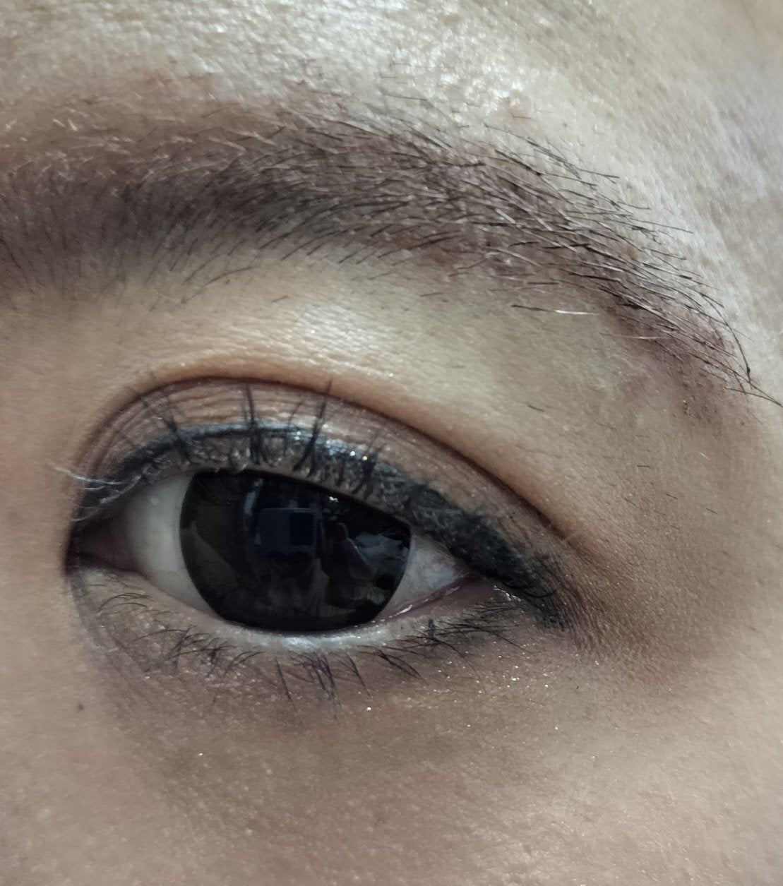 エクスプローラ12色 動物アイシャドウパレット/PERFECT DIARY/アイシャドウパレットを使ったクチコミ(5枚目)