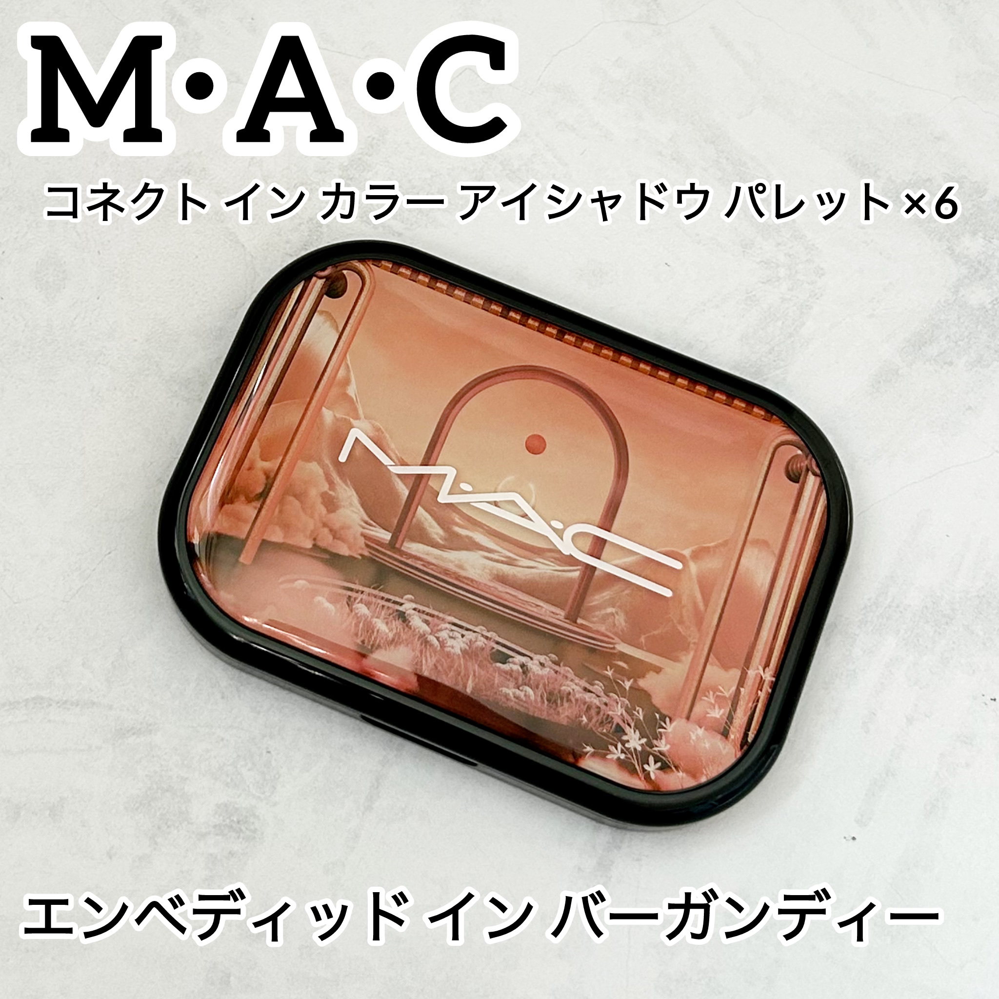 コネクト イン カラー アイシャドウ パレット × 6/M・A・C/アイシャドウパレットを使ったクチコミ（1枚目）