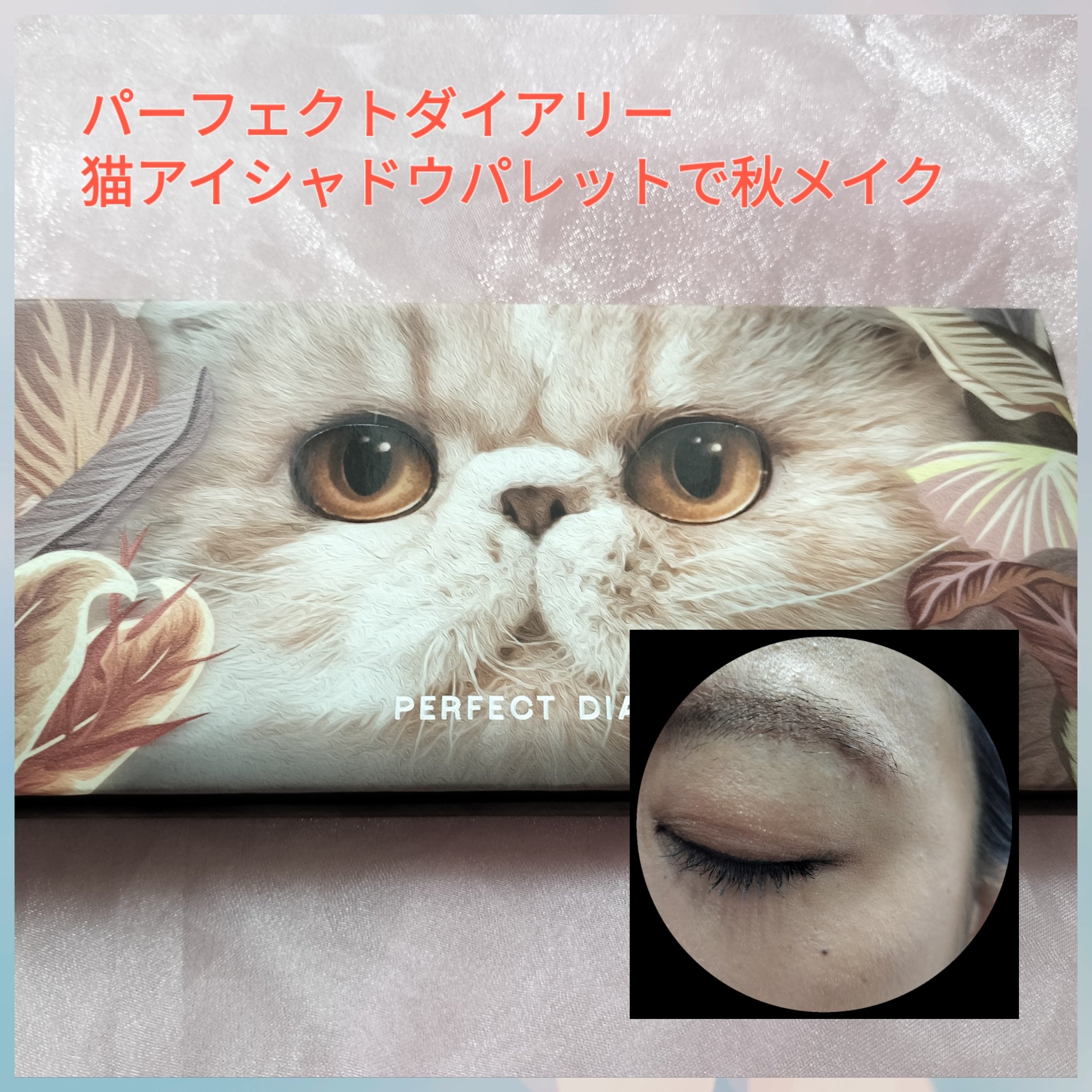 エクスプローラ12色 動物アイシャドウパレット/PERFECT DIARY/アイシャドウパレットを使ったクチコミ（1枚目）