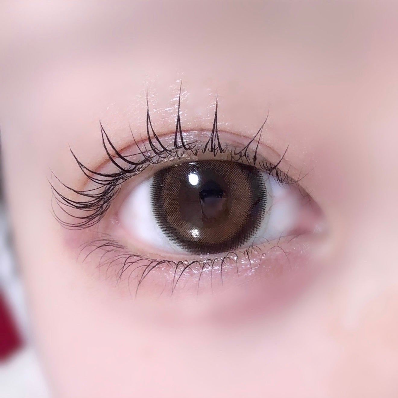 ラッシュアディクト アイラッシュ コンディショニング セラム アドバンス/soaddicted/まつげ美容液を使ったクチコミ(1枚目)