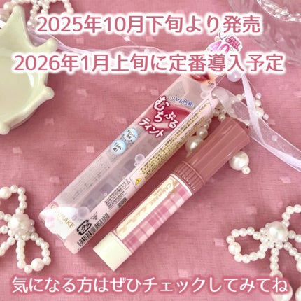 むちぷるティント/キャンメイク/リップティントを使ったクチコミ(6枚目)