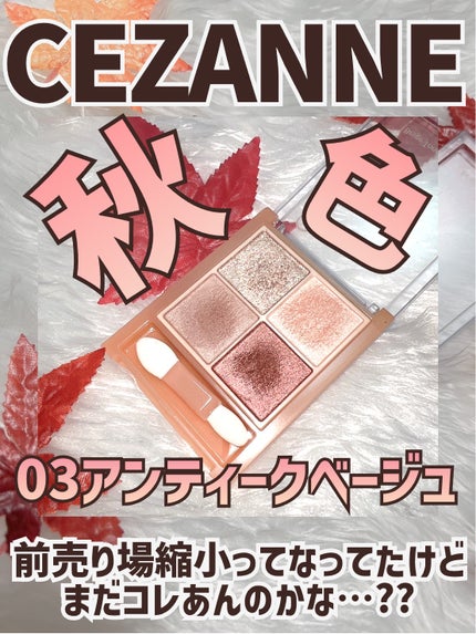 プランぷくコーデアイズNeo/キャンメイク/アイシャドウを使ったクチコミ(1枚目)