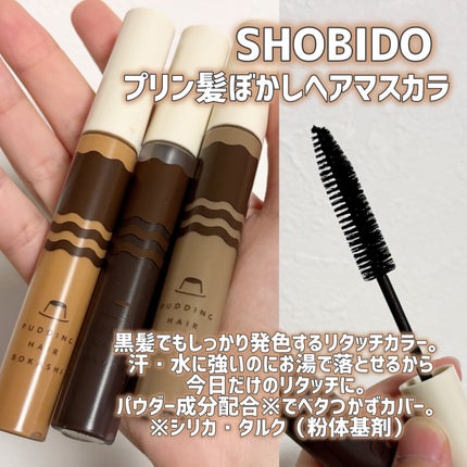 プリン髪ぼかしヘアマスカラ/SHOBIDO/ヘアケアグッズを使ったクチコミ(2枚目)
