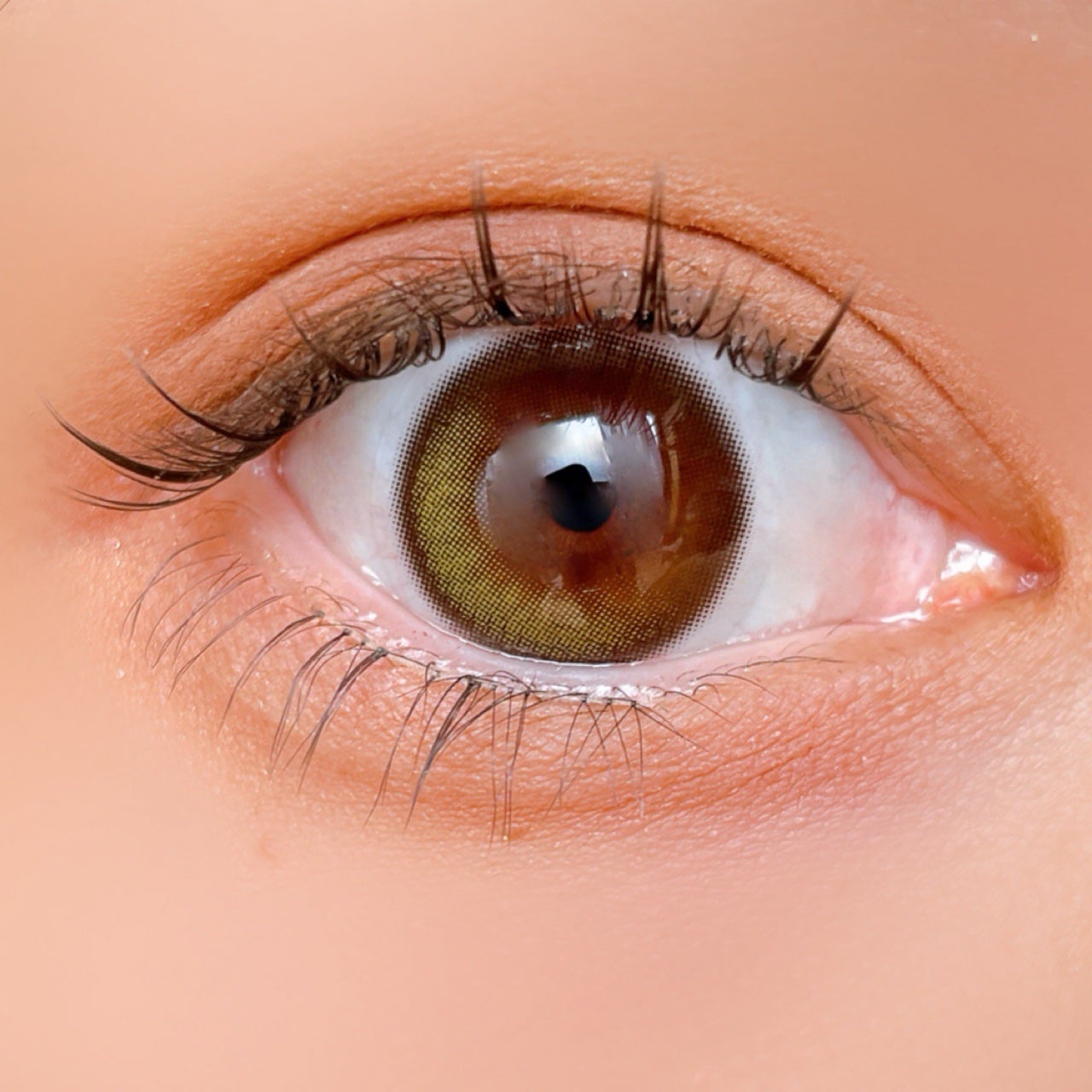 プティパレットアイズ(マットタイプ)/キャンメイク/パウダーアイシャドウを使ったクチコミ(5枚目)