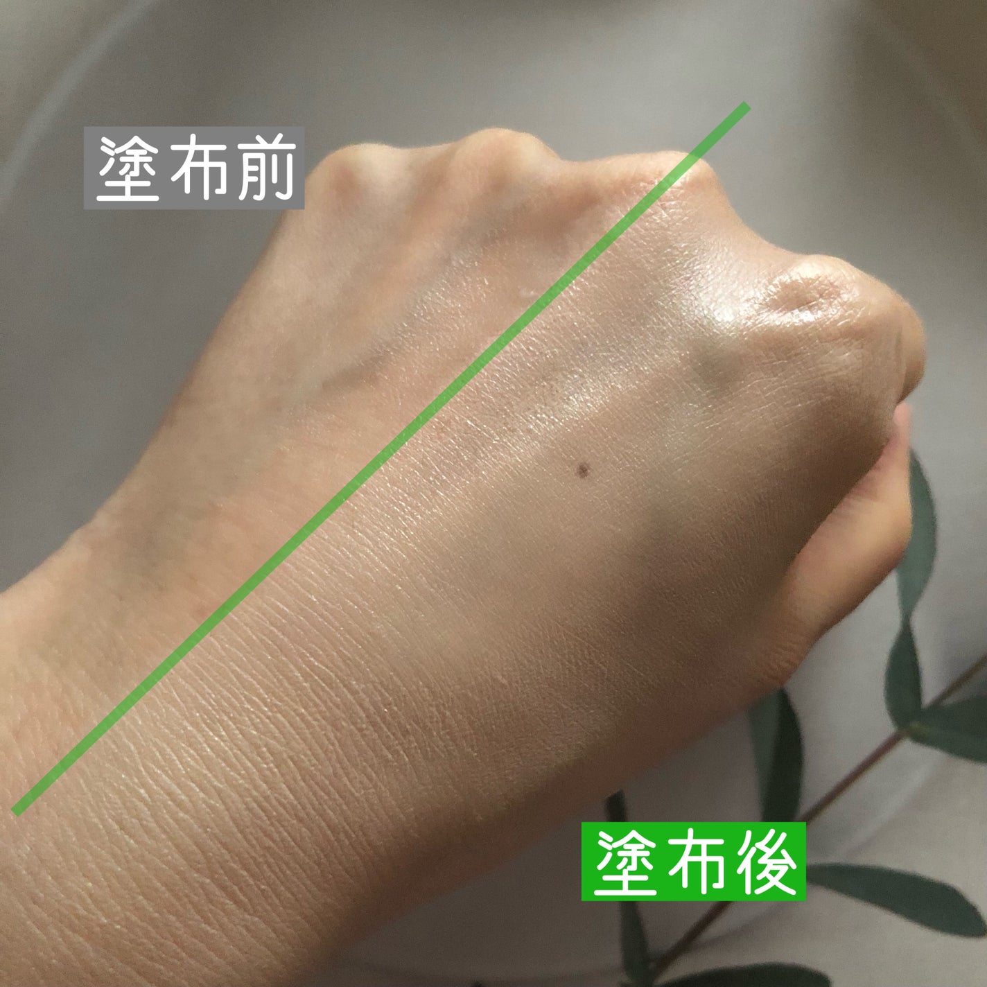 グロウフィットセラムカバークッション/ダルバ/クッションファンデーションを使ったクチコミ(5枚目)