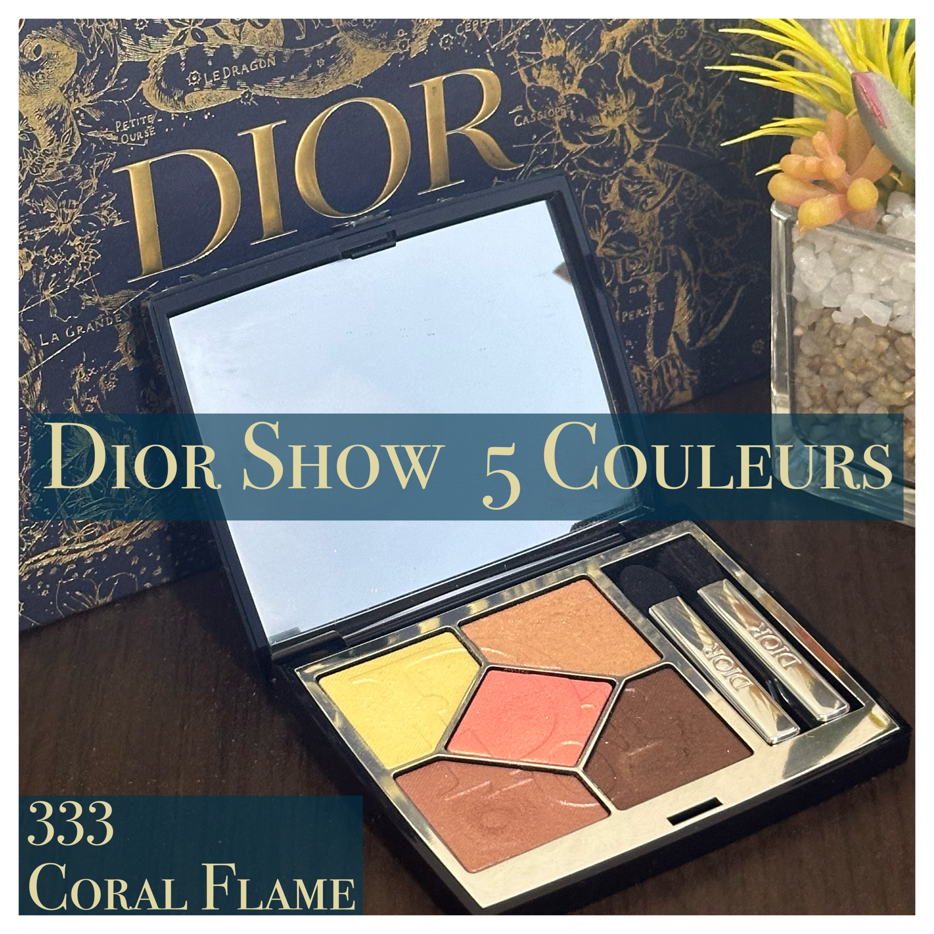 ディオールショウ サンク クルール 333 コーラル フレーム/Dior/アイシャドウを使ったクチコミ（1枚目）