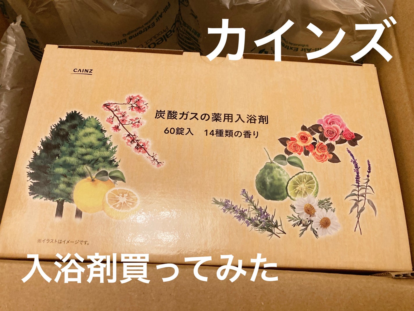 炭酸ガスの薬用入浴剤/カインズ/炭酸系入浴剤を使ったクチコミ(1枚目)