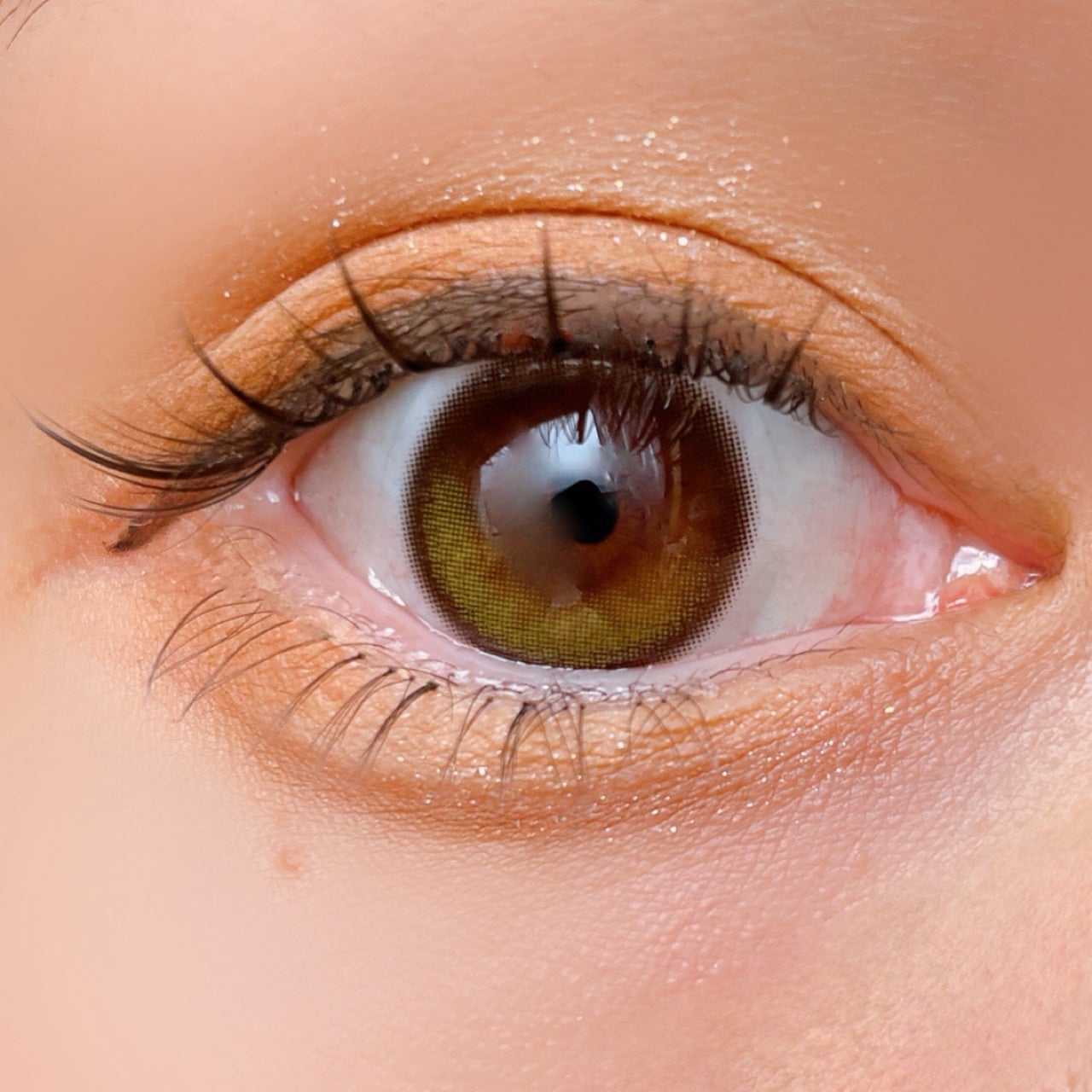 ビタートーンアイシャドウ/CEZANNE/パウダーアイシャドウを使ったクチコミ(5枚目)