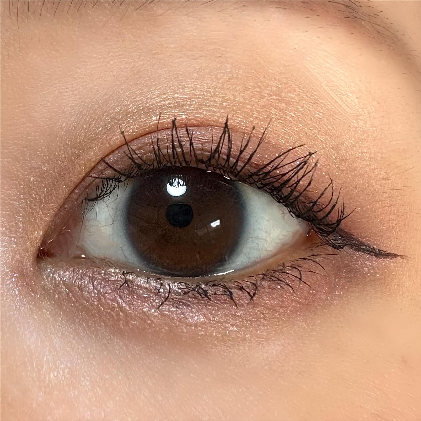 アヴァンセ アイフルールパレット/アヴァンセ/アイシャドウパレットを使ったクチコミ（3枚目）