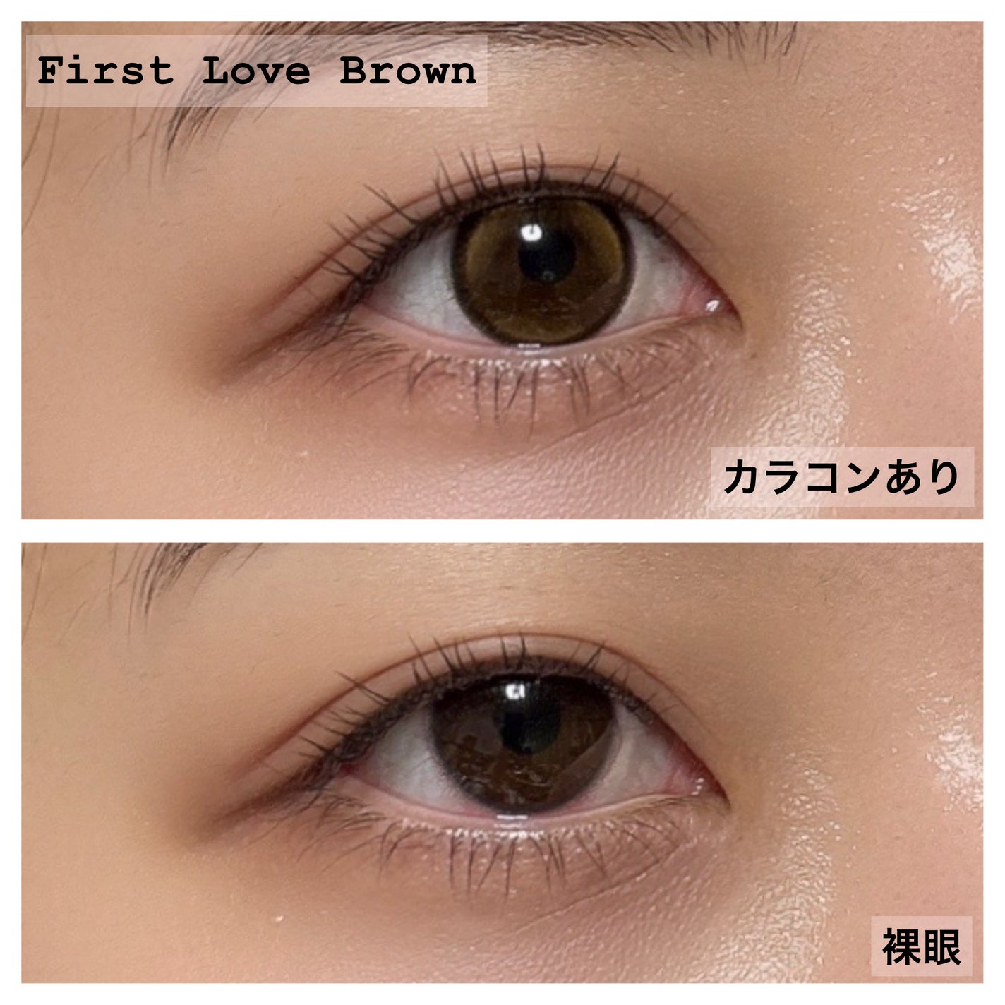 First Love Kristen/Hapa kristin/カラーコンタクトレンズを使ったクチコミ(2枚目)