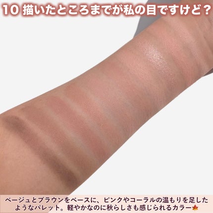 オール テイク ムード パレット(24AD)/PERIPERA/アイシャドウパレットを使ったクチコミ(3枚目)