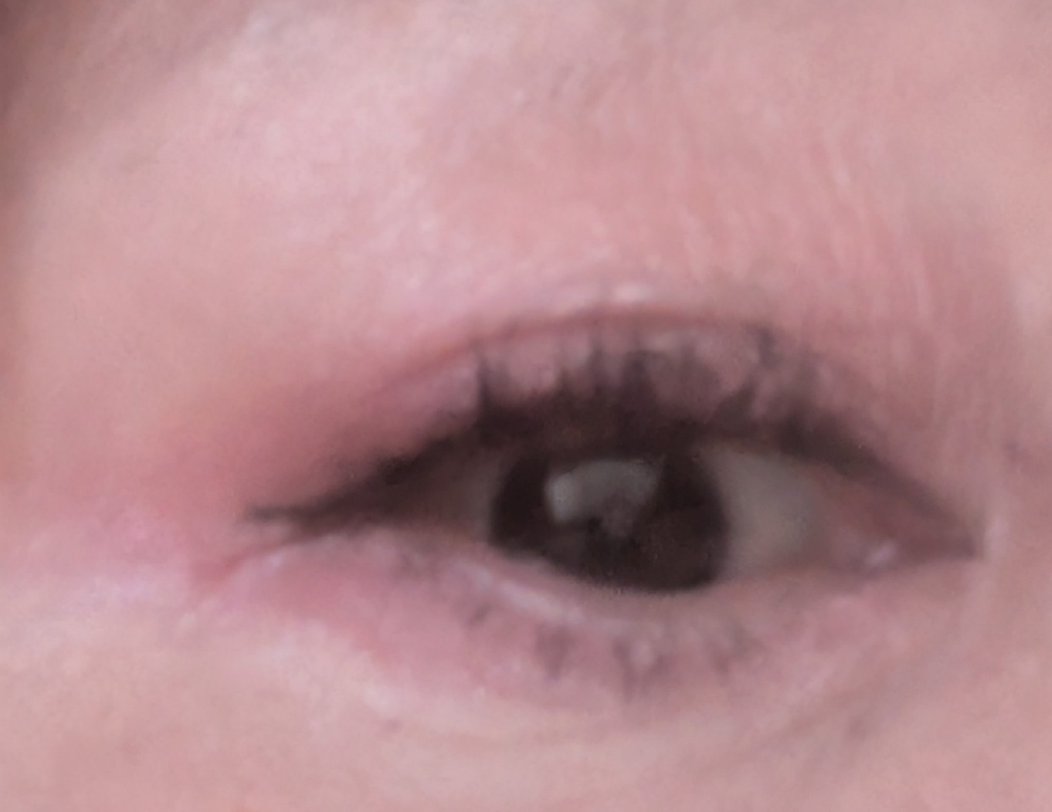 メタルックマスカラ/キャンメイク/マスカラを使ったクチコミ（2枚目）