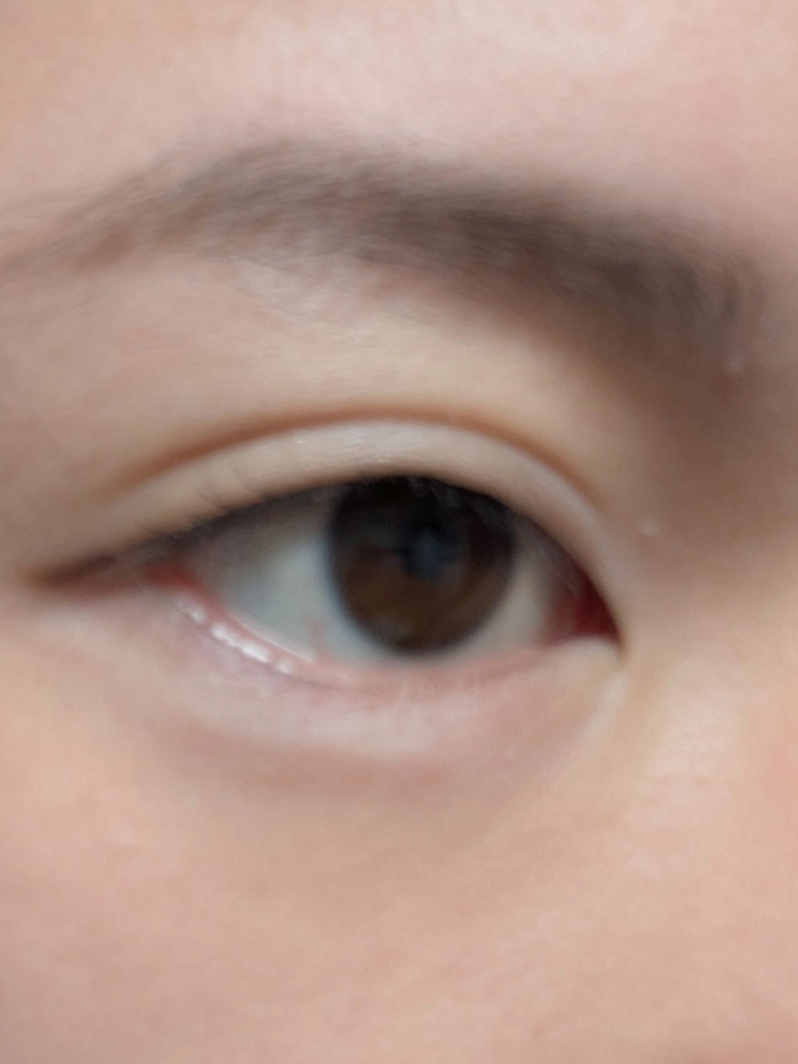 プランぷくコーデアイズNeo/キャンメイク/アイシャドウを使ったクチコミ（3枚目）