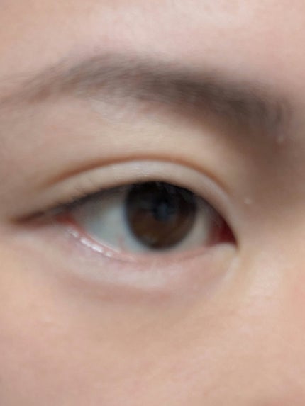 プランぷくコーデアイズNeo/キャンメイク/アイシャドウを使ったクチコミ(3枚目)