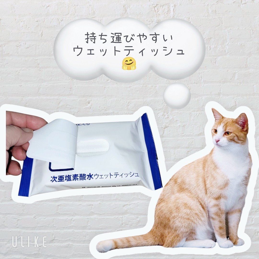 次亜塩素酸水ウェットティッシュ/AdTissue/ティッシュを使ったクチコミ（2枚目）