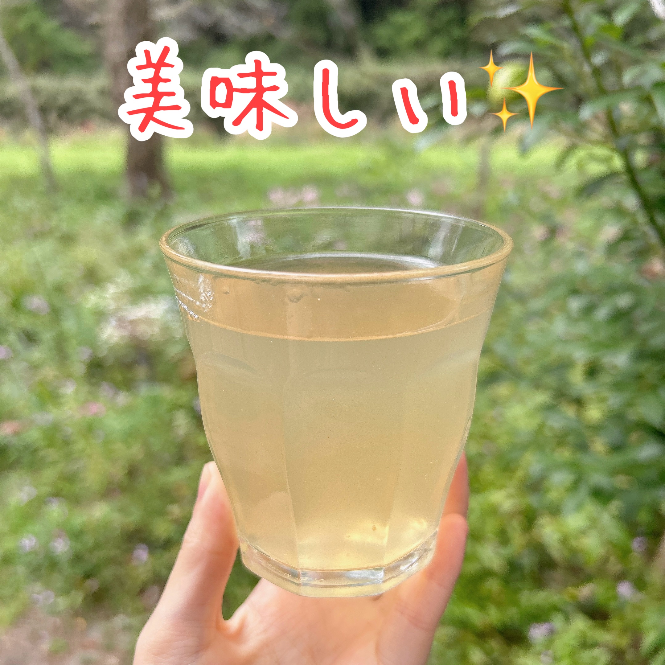 オーガニック アップルサイダービネガー/Bragg/ドリンクを使ったクチコミ（2枚目）