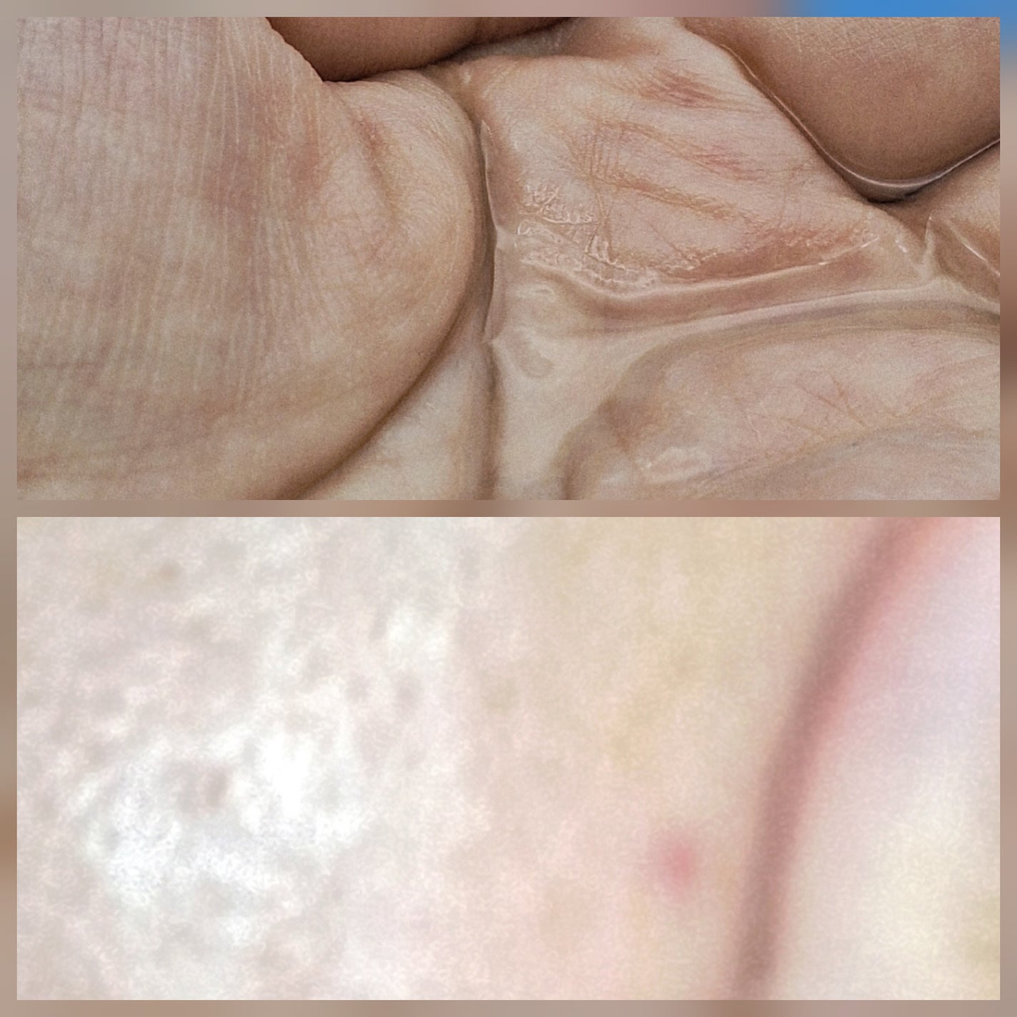 スクワランピュアオイル/Billowy/フェイスオイルを使ったクチコミ(3枚目)