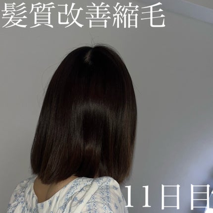 KINUJO Hair Dryer/KINUJO/ドライヤーを使ったクチコミ(1枚目)
