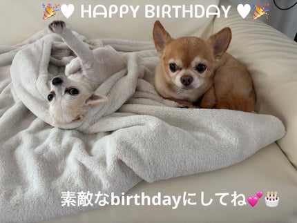 ディオール ヴェルニ 333 リヴァージュ(サマー コレクション 2023 数量限定色)/Dior/マニキュアの画像