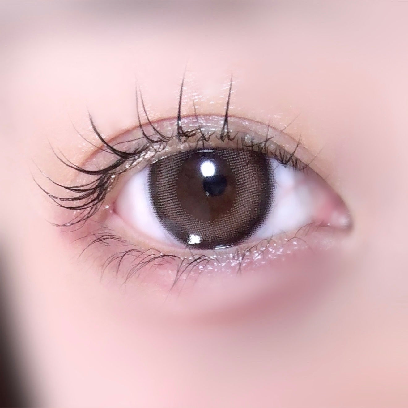 LARME MELTY SERIES(ラルムメルティシリーズ)/LARME/カラーコンタクトレンズを使ったクチコミ(1枚目)