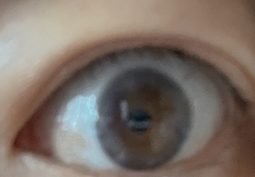 OvE（オヴィ） 1day/OvE/ワンデー（１DAY）カラコンを使ったクチコミ（3枚目）