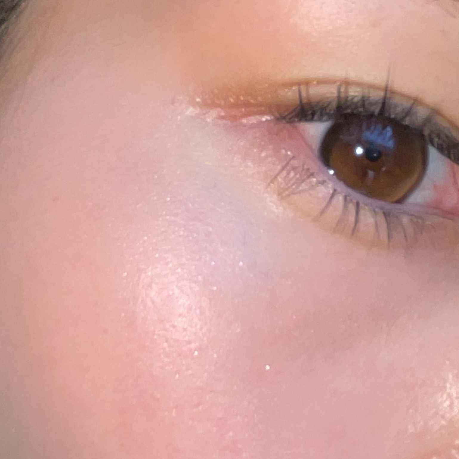 LoNLy  シンティランテハイライトセラム  HS02 (ハルモニア)Harmonia/LoNLy /リキッドハイライトを使ったクチコミ（3枚目）