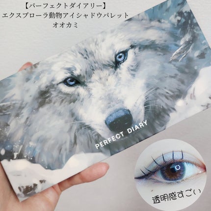 エクスプローラ12色 動物アイシャドウパレット/PERFECT DIARY/アイシャドウパレットを使ったクチコミ(1枚目)