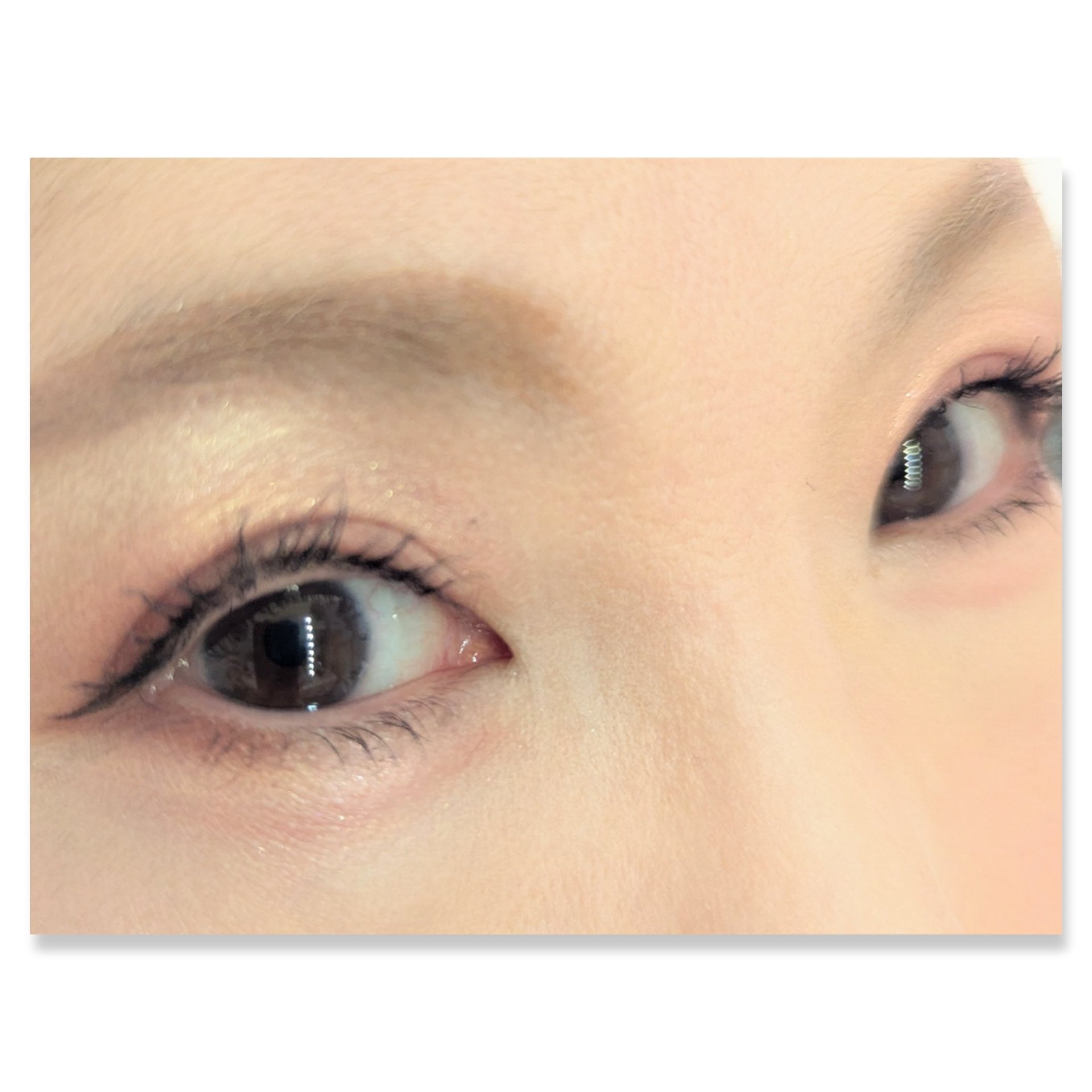 リアルアイハンディパレット/espoir/アイシャドウパレットを使ったクチコミ（2枚目）