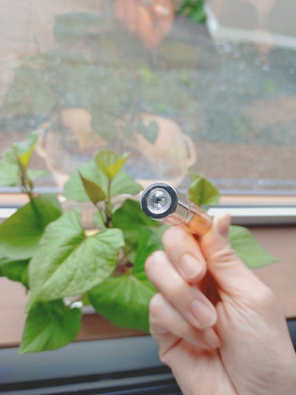 JILL STUART ヴァニラ ラスト オード パルファンのクチコミ「暑い夏が終わると使いたくなるJILL STUARTのヴァニラ ラスト オード パルファン ロー.....」(2枚目)