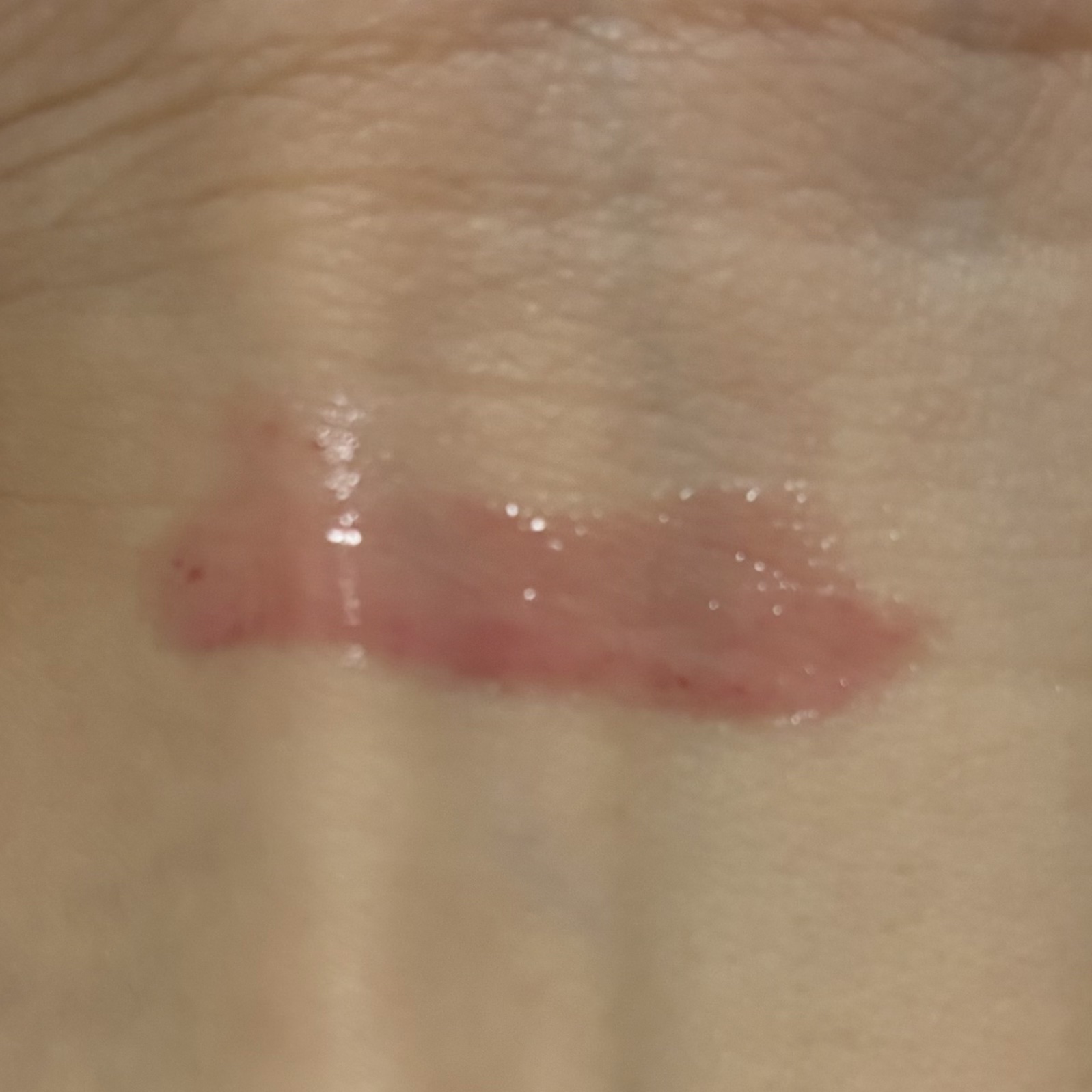 YSL ラブシャイン グロスプランパー #44 ヌード ラヴァリエール/YVES SAINT LAURENT BEAUTE/リップグロスを使ったクチコミ（3枚目）