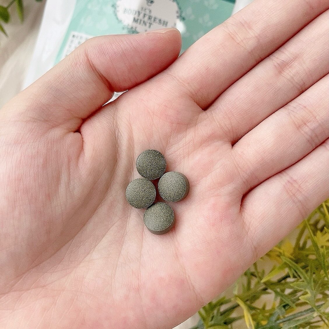 ボディ フレッシュミント/エルシーラブコスメ/その他オーラルケアを使ったクチコミ(2枚目)