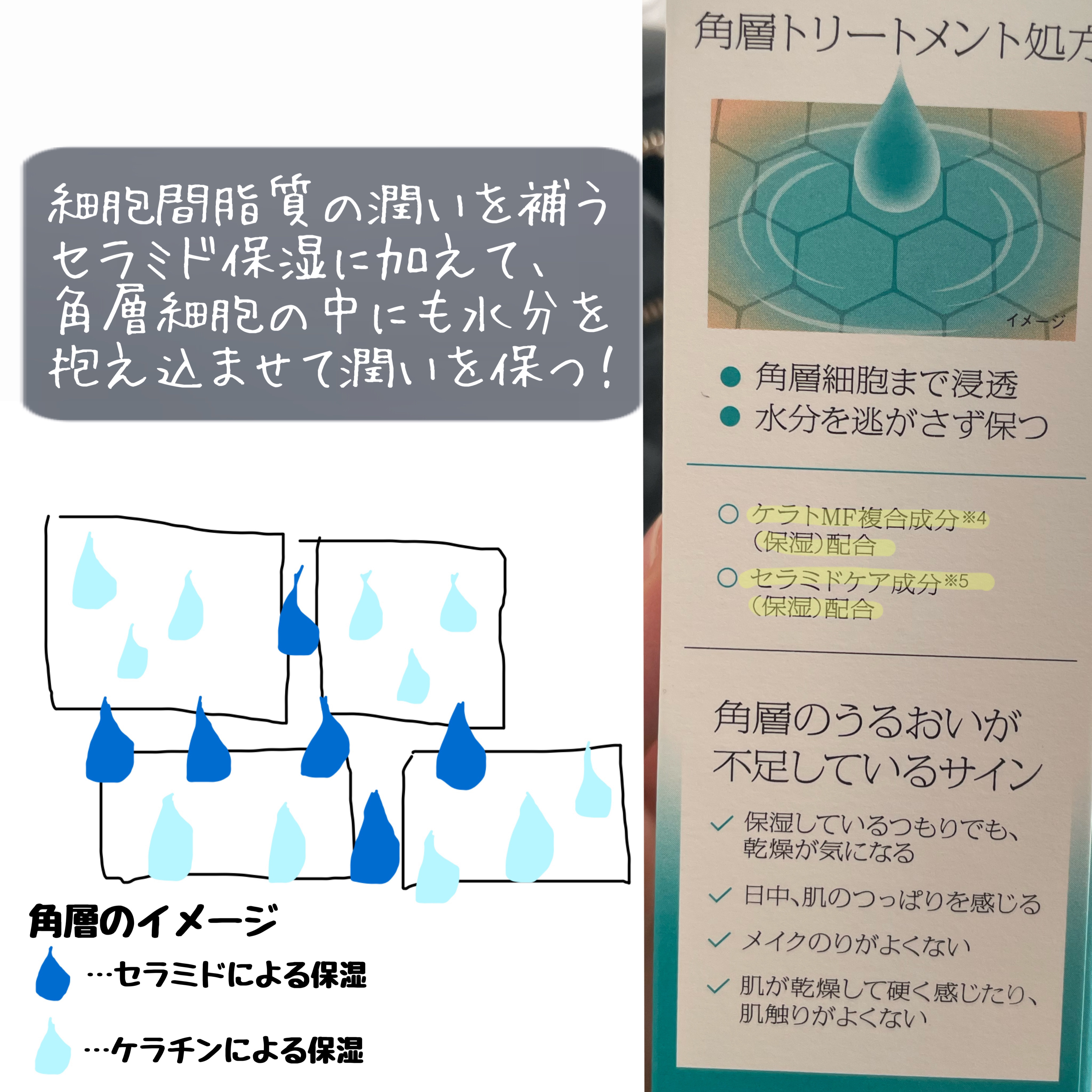 ソフィーナ iP 角層トリートメント 基礎化粧液/SOFINA iP/化粧水を使ったクチコミ（2枚目）