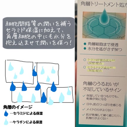 ソフィーナ iP 角層トリートメント 基礎化粧液/SOFINA iP/化粧水を使ったクチコミ(2枚目)