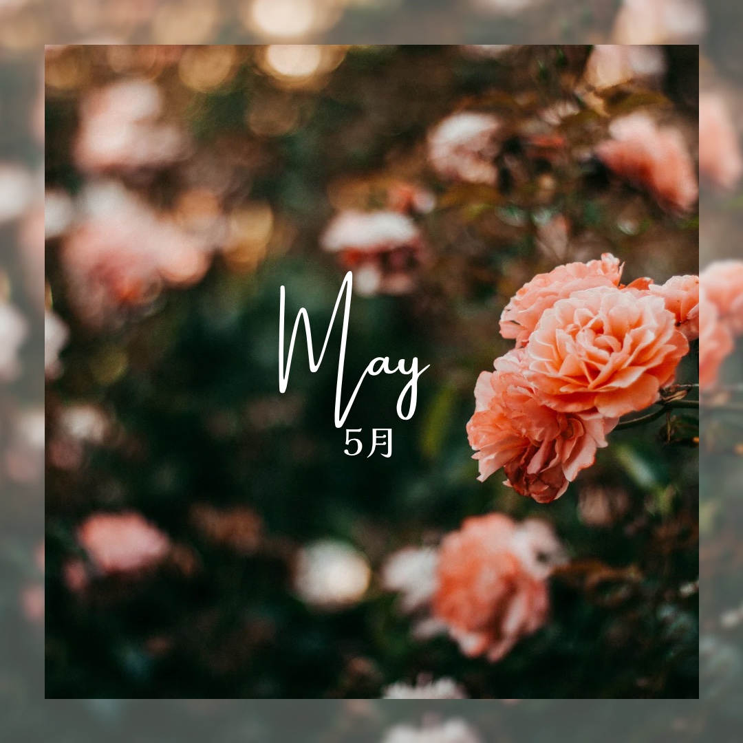 ナイトリペア ヘアオイル/THERATIS/ヘアオイルを使ったクチコミ（3枚目）