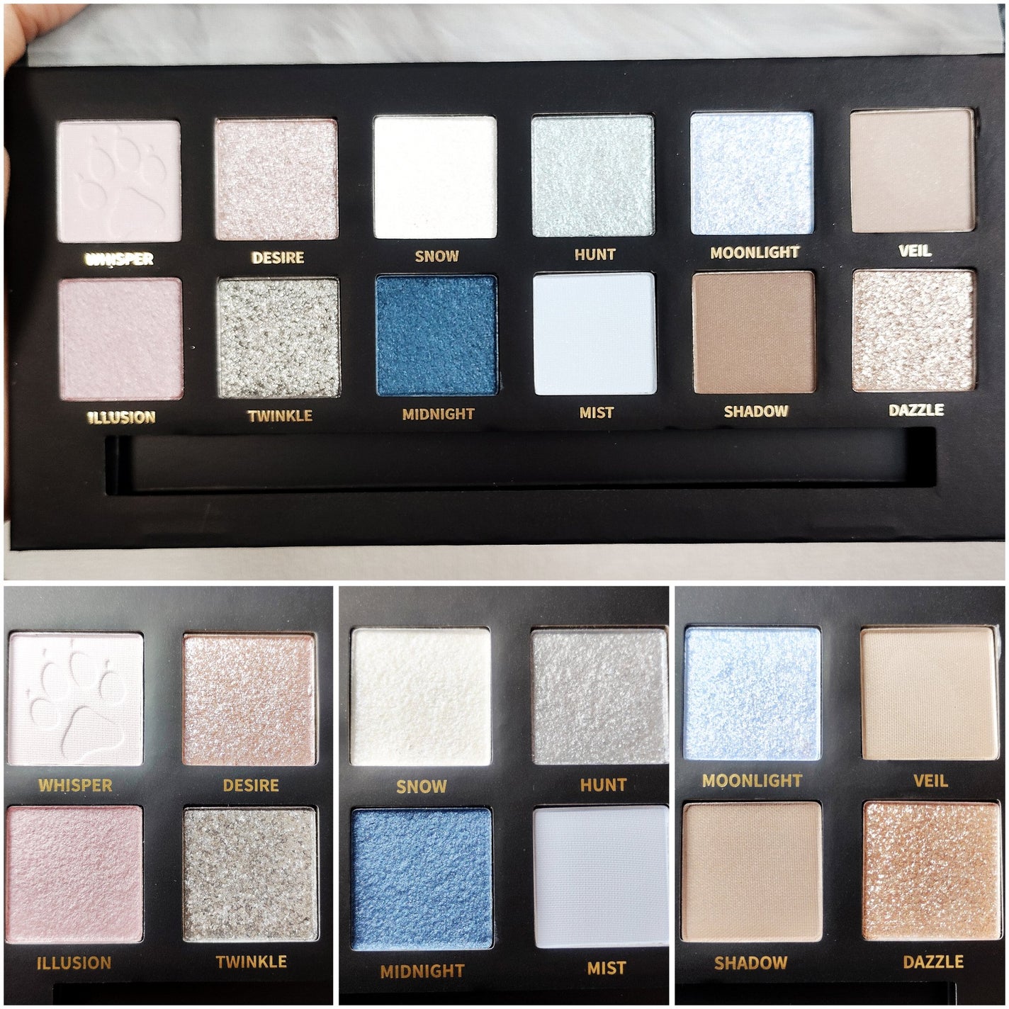 エクスプローラ12色 動物アイシャドウパレット/PERFECT DIARY/アイシャドウパレットを使ったクチコミ(2枚目)