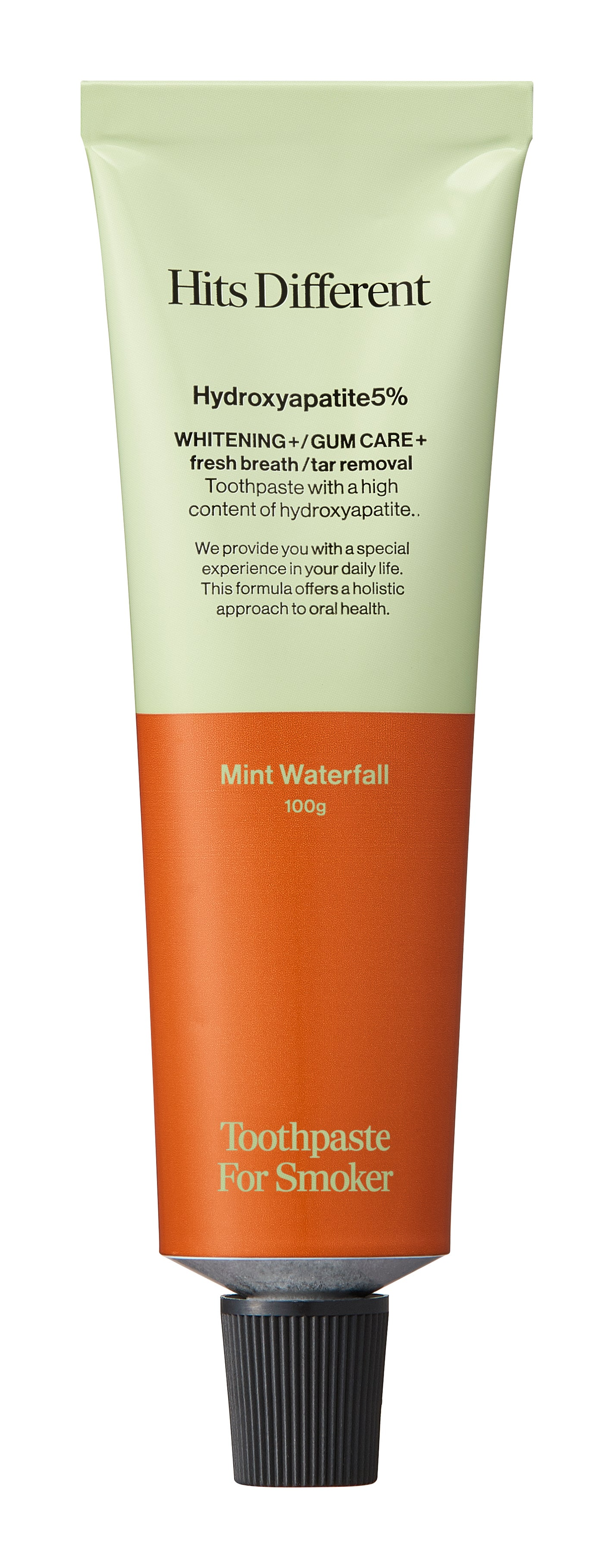 ヒッツディファレント トゥースペースト フォー スモーカー 100g