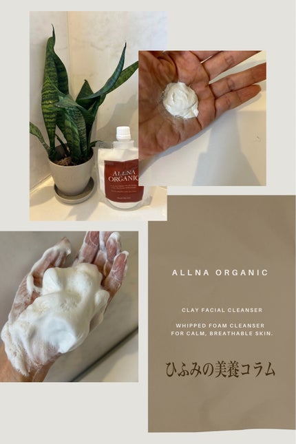 泥洗顔/ALLNA ORGANIC/洗顔フォームを使ったクチコミ(1枚目)