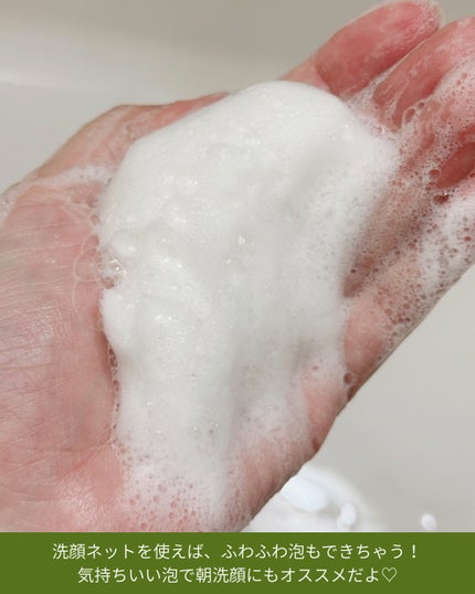 緑豆弱酸性洗顔フォーム/beplain/洗顔フォームを使ったクチコミ(4枚目)