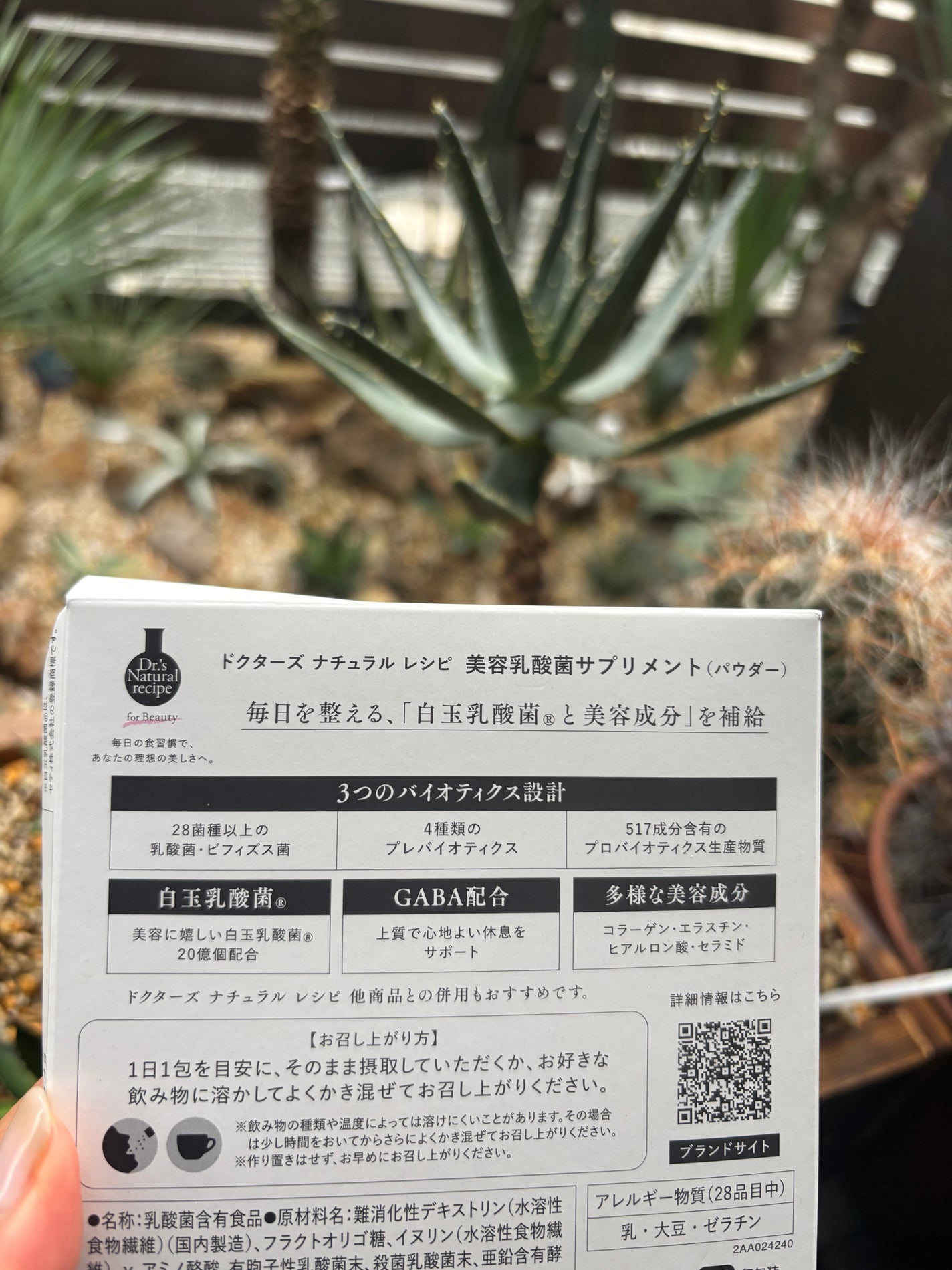 ドクターズナチュラルレシピ 美容乳酸菌サプリ(パウダー)/ドクターズ ナチュラル レシピ/美容サプリメントを使ったクチコミ(3枚目)