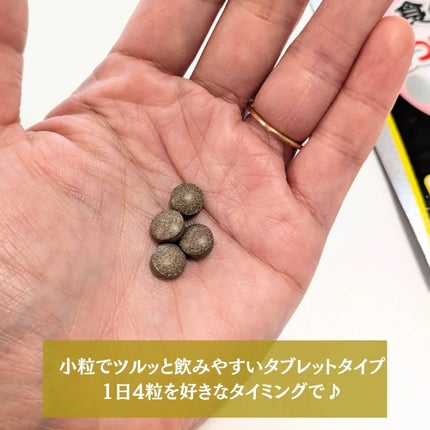 食べてもどっさりスリム/井藤漢方製薬/ボディサプリメントを使ったクチコミ(3枚目)