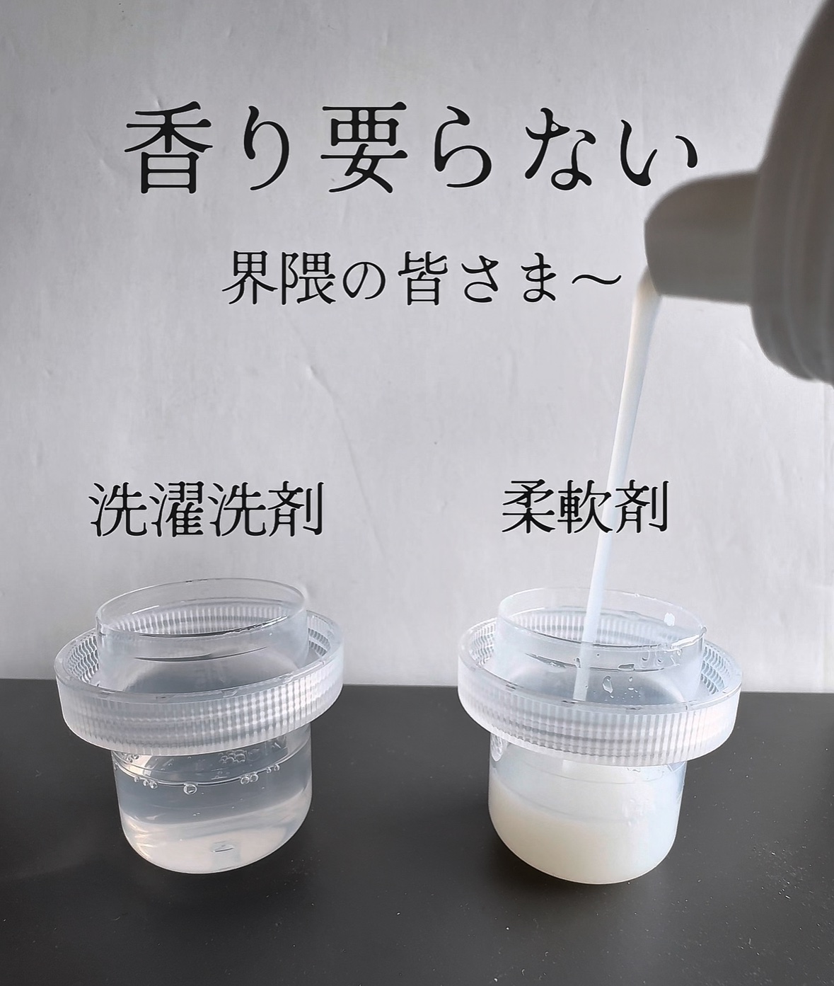 fabrush ファブラッシュ　濃縮柔軟剤 無香料のクチコミ「一日中香り長持ち〜っていうタイプの流行りの柔軟剤、合成の香りがツラい体質な私には好んで使ってる.....」（2枚目）