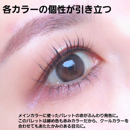 シグニチャー カラー アイズ/SUQQU/アイシャドウパレットを使ったクチコミ(3枚目)