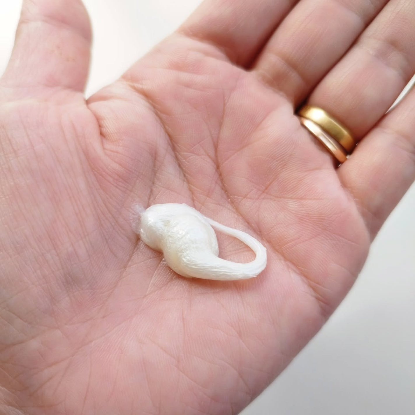 リペア洗顔フォーム/リソウコーポレーション/洗顔フォームを使ったクチコミ(3枚目)