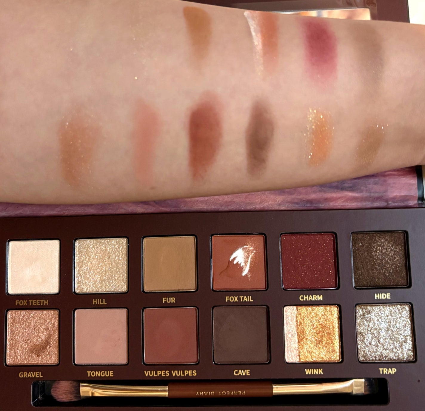 エクスプローラ12色 動物アイシャドウパレット/PERFECT DIARY/アイシャドウパレットを使ったクチコミ(2枚目)