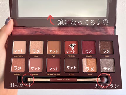 エクスプローラ12色 動物アイシャドウパレット 赤狐/PERFECT DIARY/アイシャドウパレットの画像