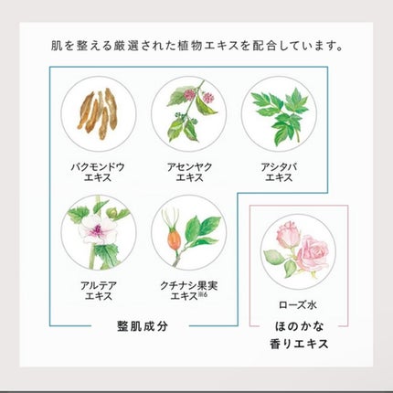 リンクル O/L コンセントレート/DECENCIA/美容液を使ったクチコミ(7枚目)