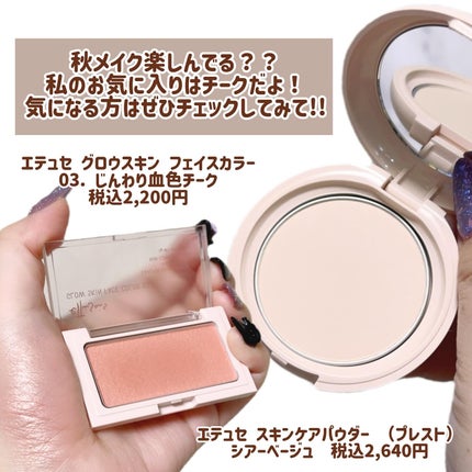 エテュセ スキンケアパウダー (プレスト)/ettusais/プレストパウダーを使ったクチコミ(4枚目)