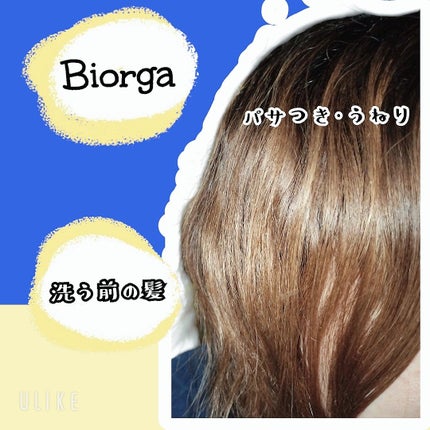 ビオチン ダメージヘア改善 脱毛緩和シャンプー /BIORGA/市販シャンプーを使ったクチコミ(2枚目)