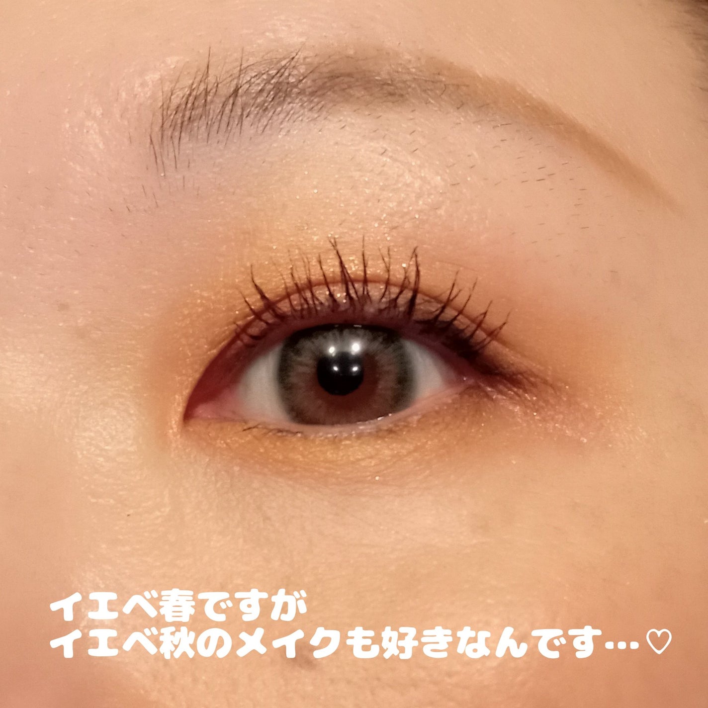 アイ カラー クォード/TOM FORD BEAUTY/アイシャドウパレットを使ったクチコミ(2枚目)